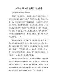 小学教师致教师读后感