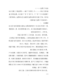 监理工作总结范文