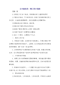 公司业务员一周工作计划表