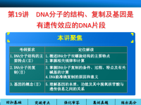 [农学]第六单元 基因的本质