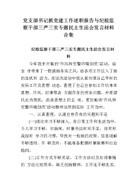 党支部书记抓党建工作述职报告与纪检监察干部三严三实专题民主生活会发言材料合集