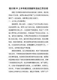 统计局xx上半年机关效能年活动工作总结