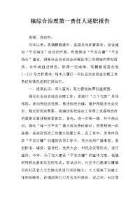 镇综合治理第一责任人述职报告