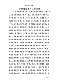 乡镇计划生育工作计划