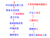 初中生物优质课件精选——《人的生殖》课件05