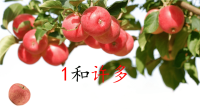 小班数学：1和许多（幼儿园PPT课件）