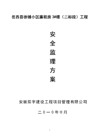 安全监理方案(塔吊、钢管脚手架)