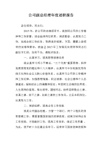 公司副总经理年度述职报告