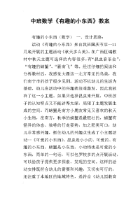 中班数学《有趣的小东西》教案