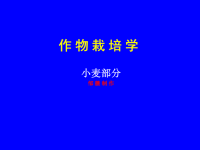 【农学课件】作 物 栽 培 学--小麦部分