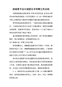 班级骨干会计班团支书学期工作总结