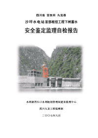 沙坪水电站首部枢纽工程下闸蓄水安全鉴定监理自检报告最终稿