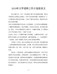 2019年大学老师工作计划表范文