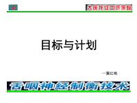 护理工作计划性、目标和计划