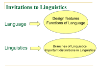 语言学分支介绍