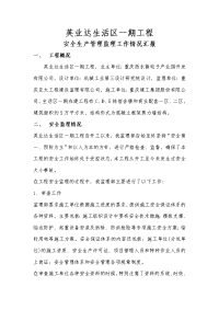 安全生产管理监理工作情况汇报