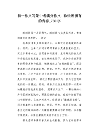初一作文写景中考满分作文：珍惜所拥有的青春750字.docx