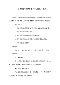 中班数学活动课《认识5》教案