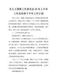 市人大预算工作委员会xx年上半年工作总结和下半年工作计划