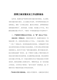 澄潭江镇党管武装工作述职报告