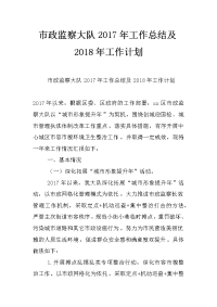 市政监察大队2017年工作总结及2018年工作计划