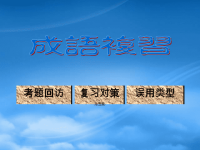 高考成语总复习 高考对策与误用类型