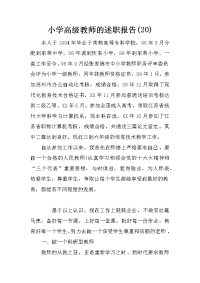 小学高级教师的述职报告(20)