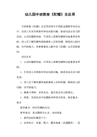 幼儿园中班教案《陀螺》含反思.docx