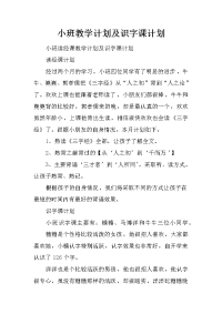 小班教学计划及识字课计划