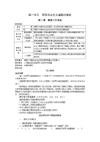 人教版初中九年级历史下册教案