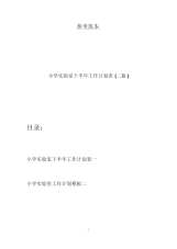 小学实验室下半年工作计划表(二篇).docx