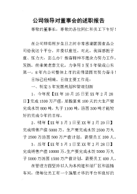 公司领导对董事会_述职报告