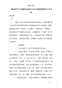 梅南村学习实践活动试点工作分析检查阶段工作总结_0