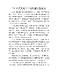 xx年度党建工作述职报告优秀篇