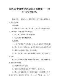 幼儿园中班数学活动公开课教案——树叶宝宝找妈妈