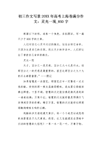 初三作文写景20XX年高考上海卷满分作文：灵光一现850字.docx