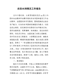 2019农田水利情况工作报告
