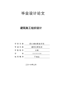 仁安龙城国际建设项目施工组织设计毕业设计论文.doc