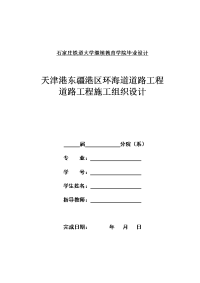 天津港东疆港区环海道道路工程道路工程施工组织设计-毕业论文.doc