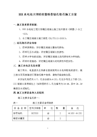 xxx水电站大坝砼质量检查钻孔取芯施工方案