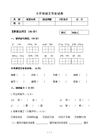 小升初语文毕业试卷