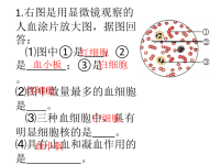 初中生物中考识图课件[1]