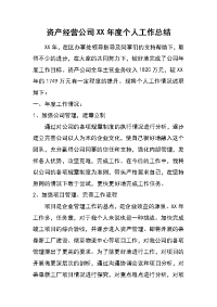 资产经营公司xx年度个人工作总结