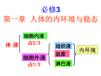 高中生物必修三全套课件(人教版 新课标)