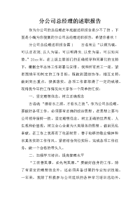 分公司总经理的述职报告