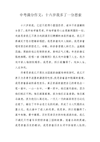 中考满分作文：十六岁我多了一分思索.docx