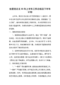 经委党总支xx年上半年工作总结及下半年计划