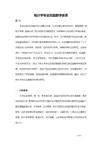 统计学专业实践教学体系