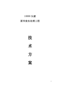 10000头屠宰猪废水处理方案