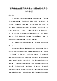 副局长在交通系统安全总结暨春运动员会上的讲话